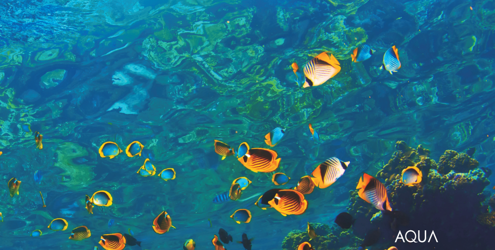 海洋馆循环水泵